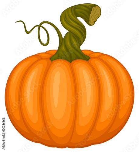 Vector illustration of an orange pumpkin with a twisted green stem.
