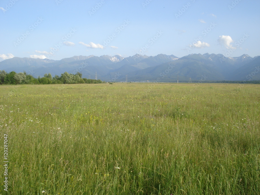 Landscape with grassland and Fagaras Mountains in the distance, in Transylvania region in Romania