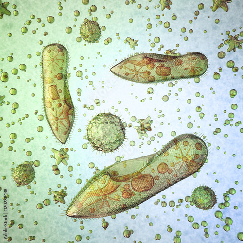 Protozoa under a microscope. 3d illustration. photo