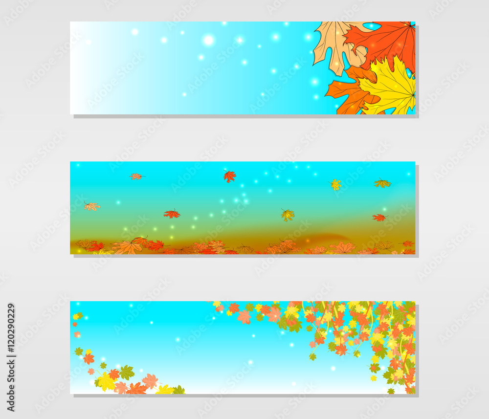 Set of vector banners with colored autumn maple leaves on a blue background
