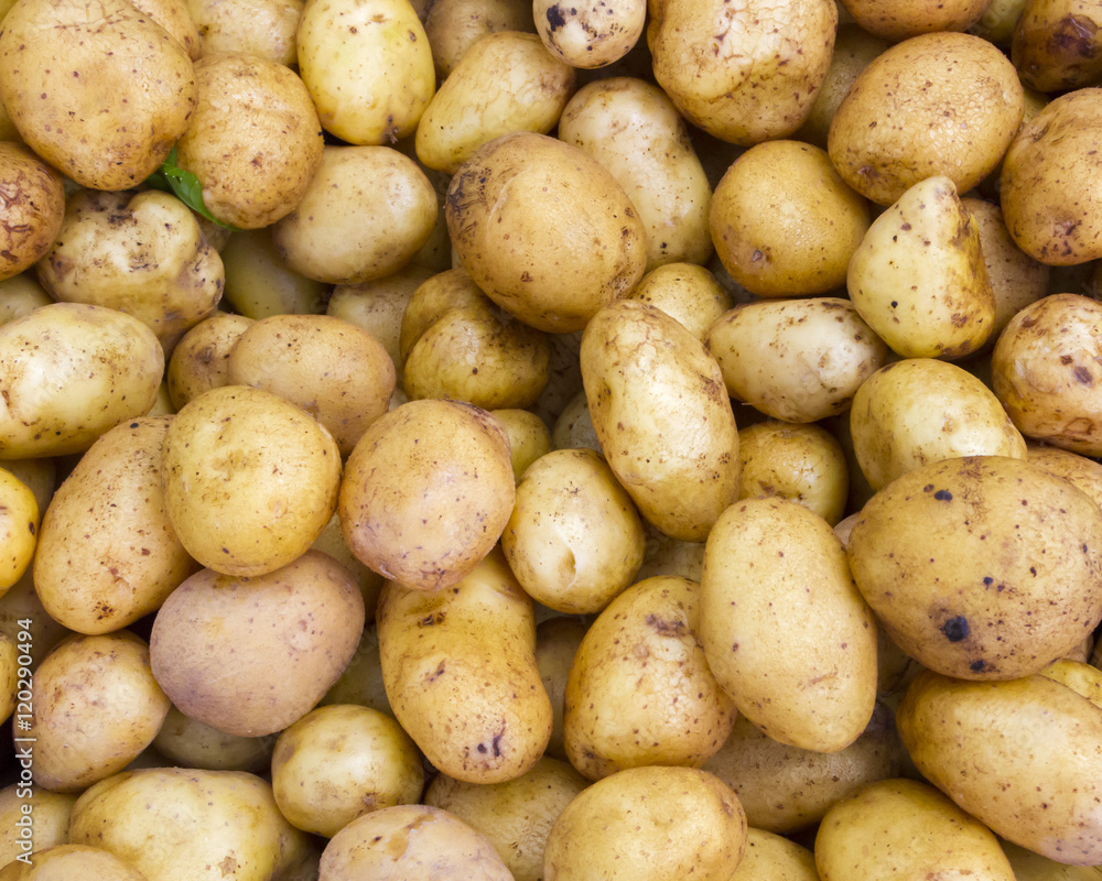 Vibrant fresh potatoes for sale at a farmer's market in Oregon Vibrant fresh potatoes for sale at a farmer's market in Oregon