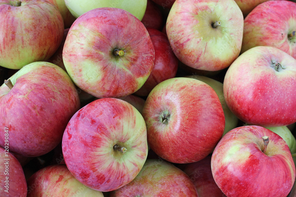Apple background. Apples close-up, top view. Apple background. Apples close-up, top view.