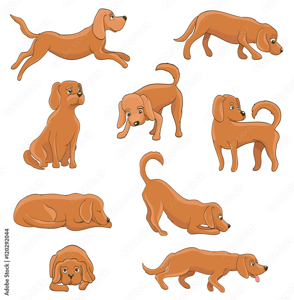 cute cartoon dog in various poses. funny pet sitting, standing, lying Stock  Vector | Adobe Stock