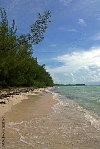 Gold Rock Beach, Grand Bahama. BAHAMAS.