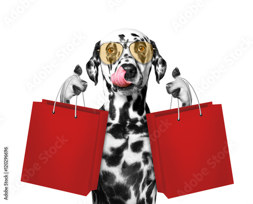 Fototapeta Naklejka Na Ścianę i Meble -  Cute dog goes shopping and sales