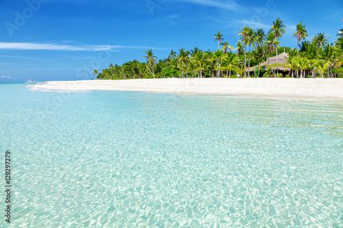Fantastic turquoise beach with palm trees and white sand photo