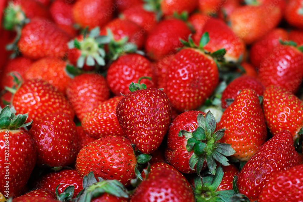 Strawberry Strawberry