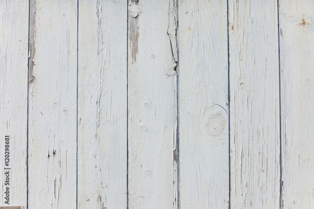 Naklejka premium White Wood Background