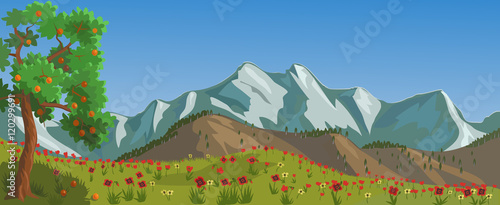 Schilderij op canvas Red flowers in the distance snowy mountains/ Snowy mountains and valley of flowe