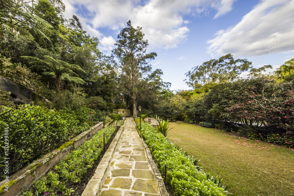 Sky clouds and a footpath in the gardens. Sky clouds and a footpath in the gardens.