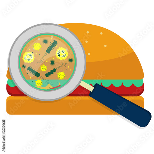 Magnifying glass showing bacteria on hamburguer. White background.