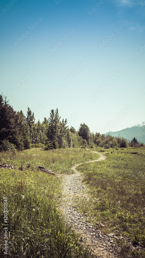 Winding path in summer