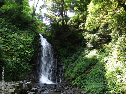 夏の一乗滝/福井県の名瀑のひとつ