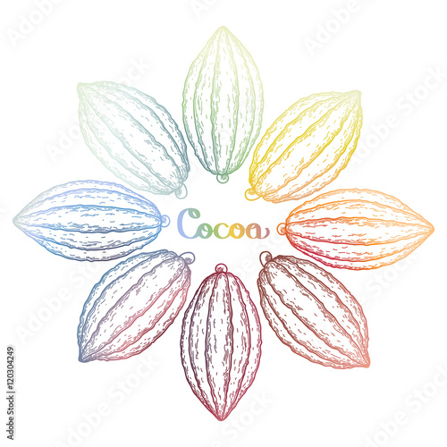 Watercolor cocoa fruits