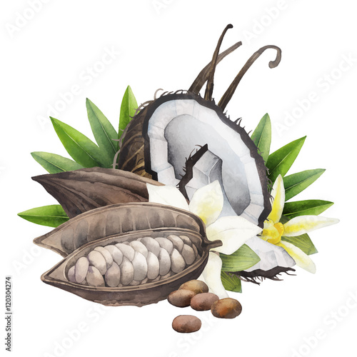 Watercolor cocoa fruit, coconut and vanilla