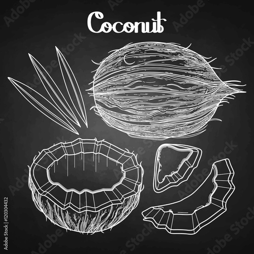 Graphic coconut collection