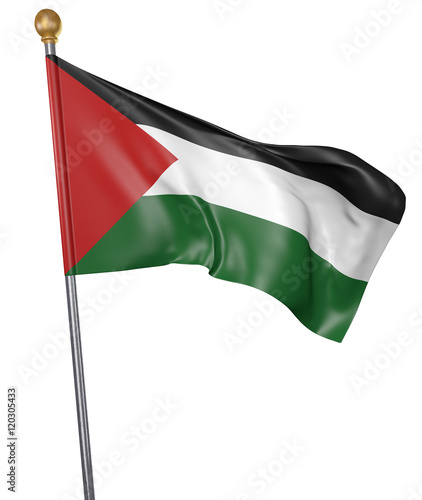 National flag for country of Palestine isolated on white background  3D rendering