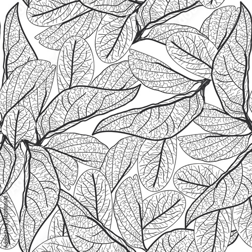 Leaves contours on white background. floral seamless pattern for fabric, wallpaper, pattern fills, web page background, surface textures. hand-drawn. Vector
