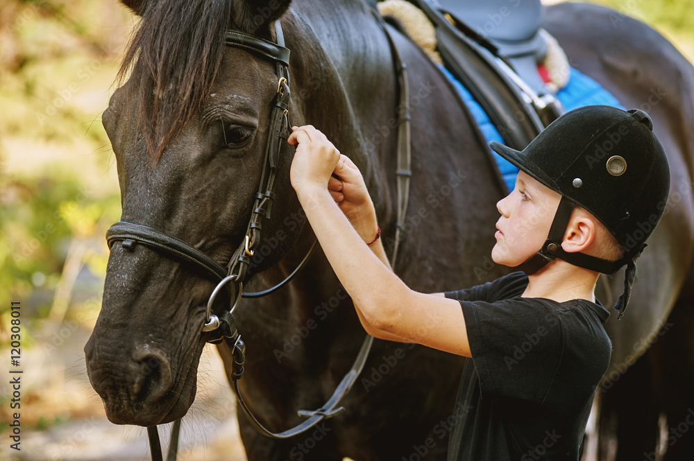 the boy saddling a horse and tighten the girth. The foreground.