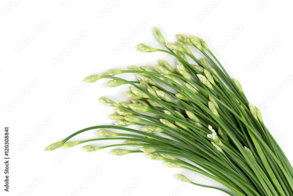 Kuicheai Vegetable leaves Thailand Kuicheai Vegetable leaves Thailand