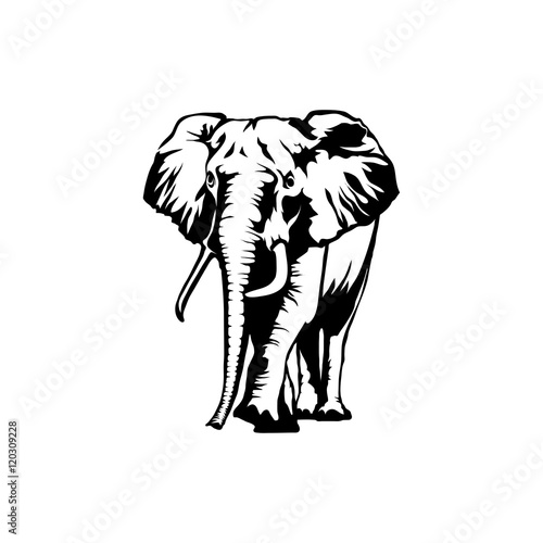 elephant logo