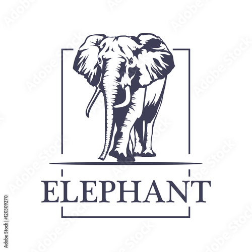 elephant logo