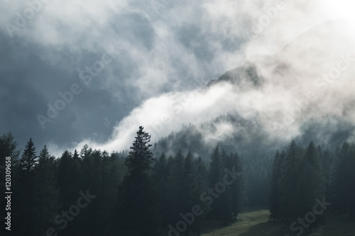 Surreal shot of clouds on trees and mountains