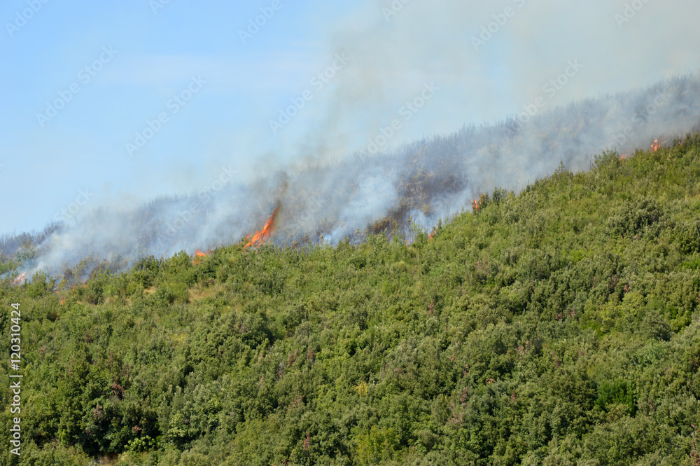Fototapeta premium An arson attack on the mountains Prenestini of Castel San Pietro