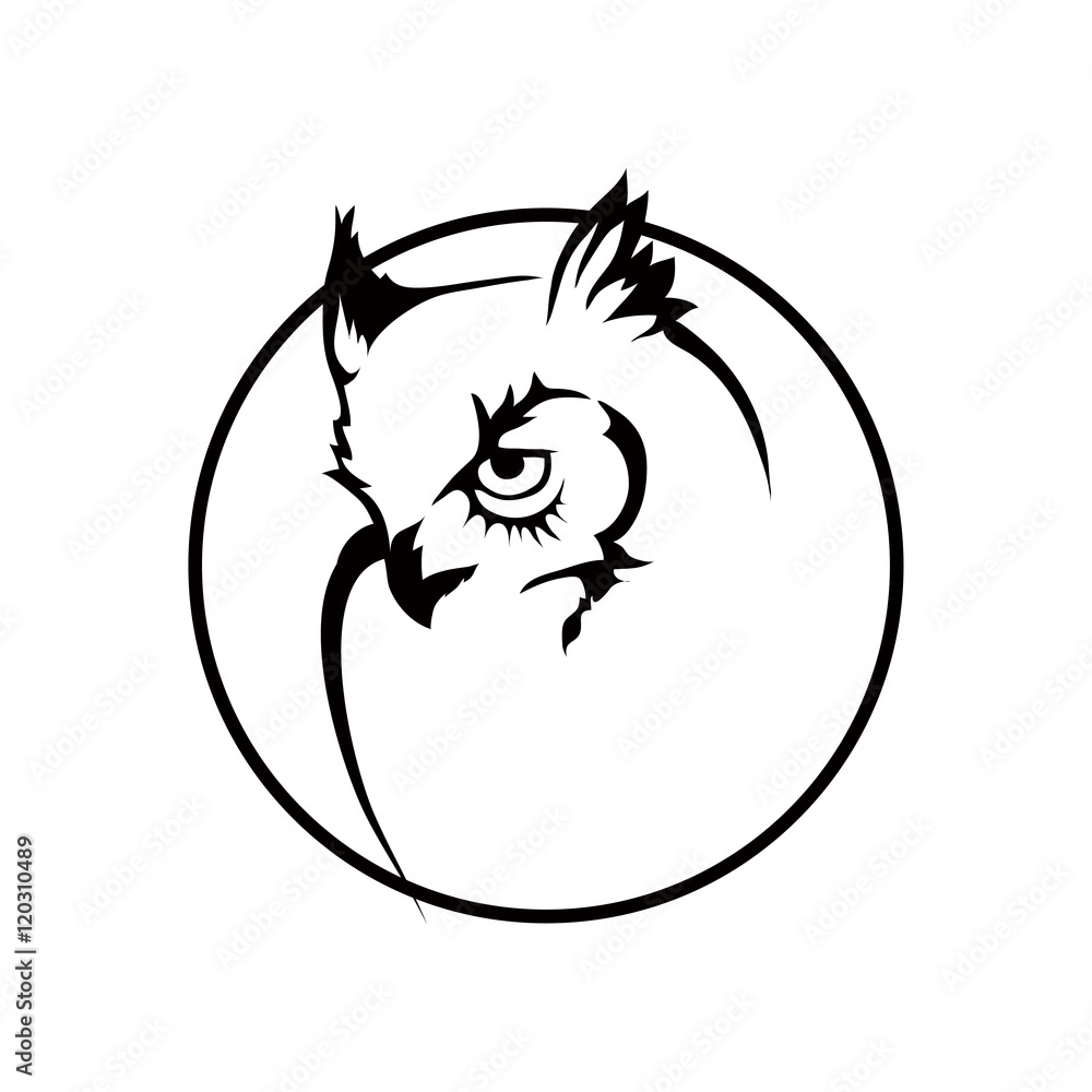Fototapeta premium owl logo
