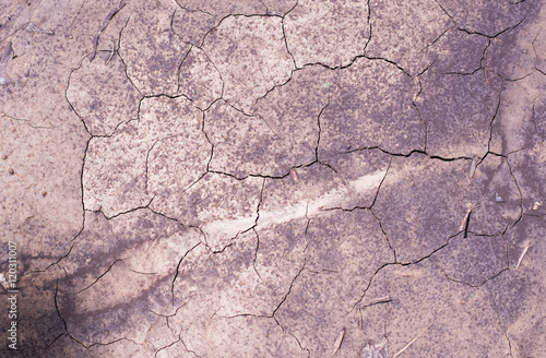 Surface dry cracking for textural background photo