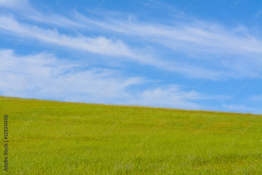 Cloudy blue sky and green grass hill