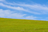 Cloudy blue sky and green grass hill