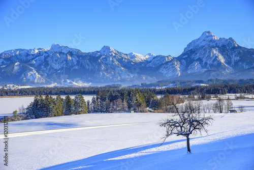 Winternachmittag im Allgäu