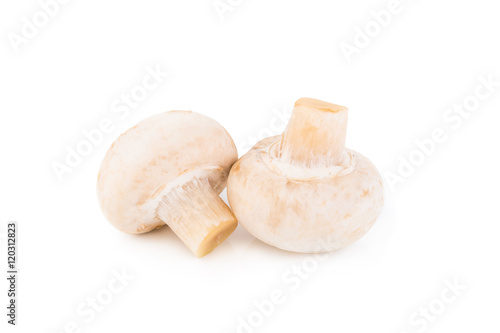 Champignon Isolated on White Background