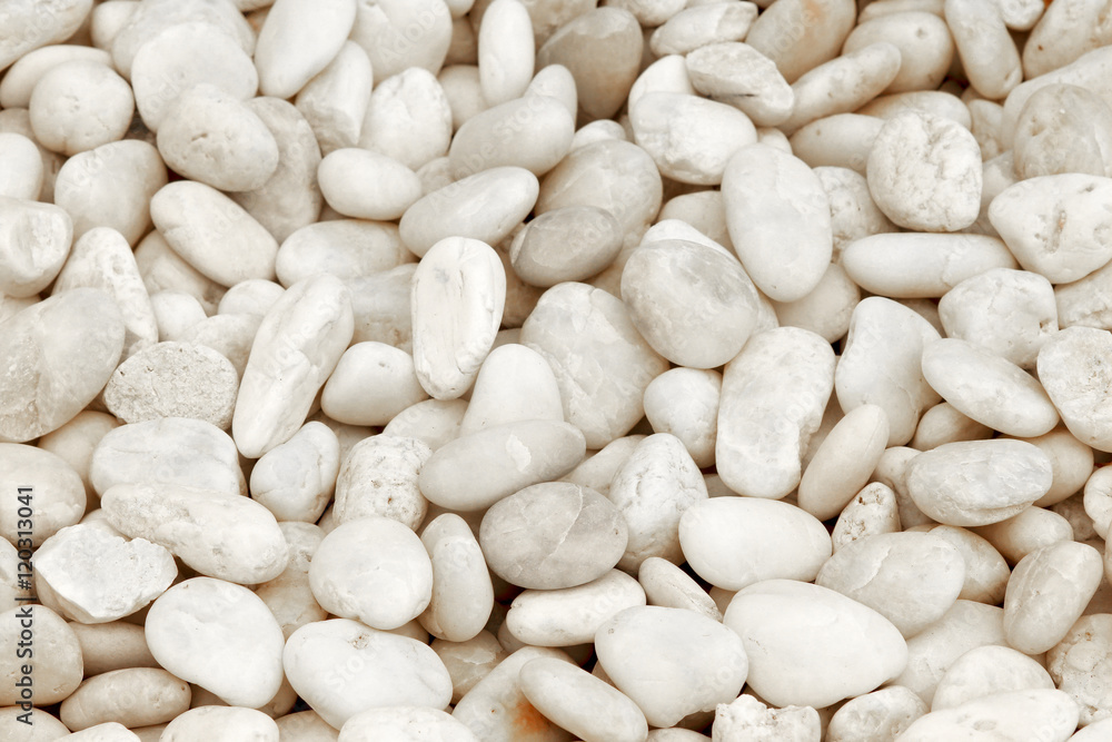 textured of white stone or rock background textured of white stone or rock background