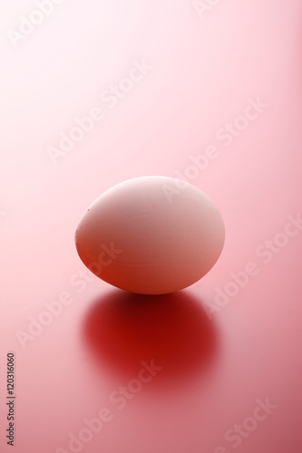 一個の卵