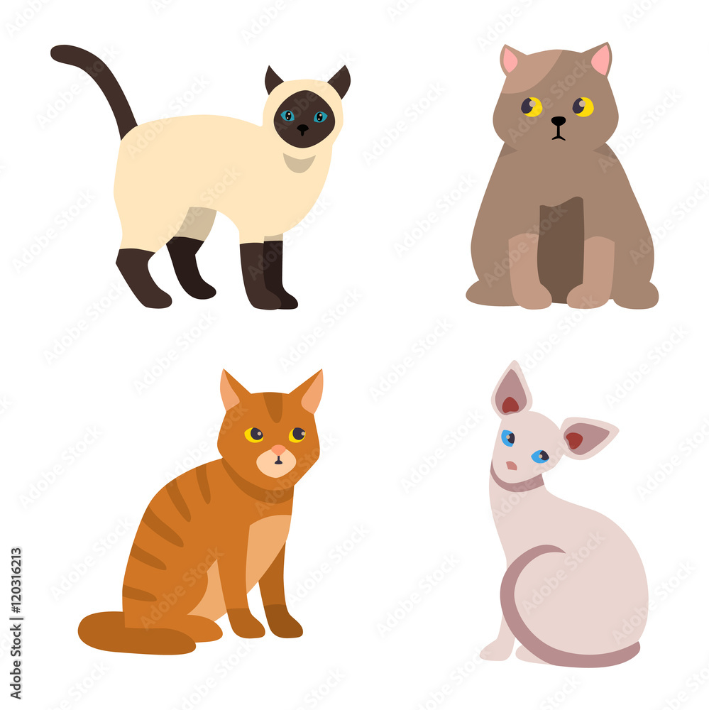 Cat breeds cute pet animal set vector illustration. Cat breed animal and  cartoon different cats. Mammal character human friend cat breed animals  icons. Character cat portrait friend feline. Stock Vector | Adobe