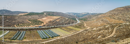 View of the farmland, settlement Shilo in Israel photo