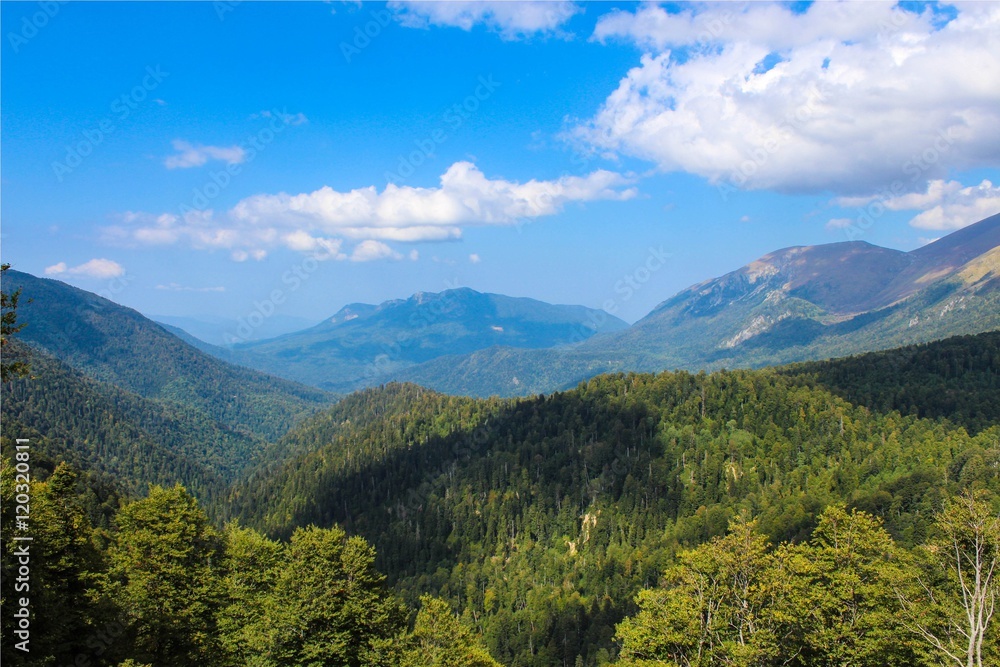 Fototapeta premium mountain