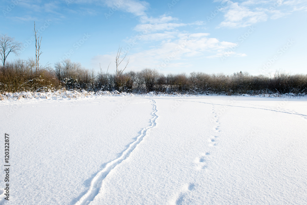custom made wallpaper toronto digitaltourist hiking trail in woods in winter