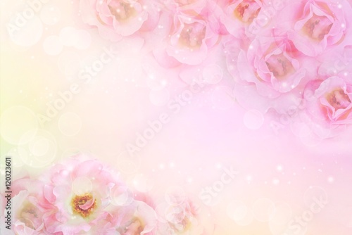 pink roses flower border and frame in vintage color for valentine background and wedding card