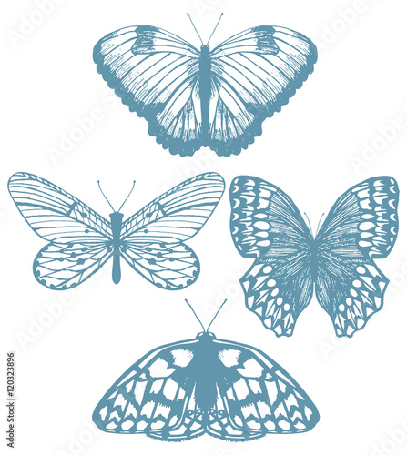 vector set of isolated hand-drawn butterflies
