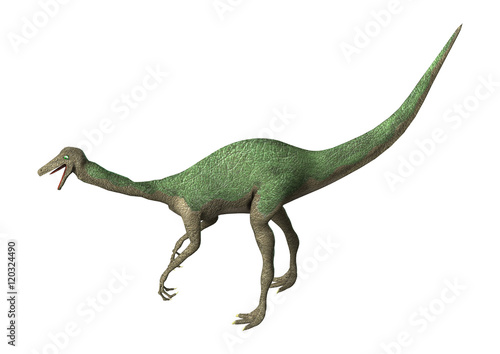 3D Rendering Dinosaur Gallimimus on White