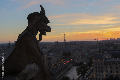 Chimeras of Notre Dame