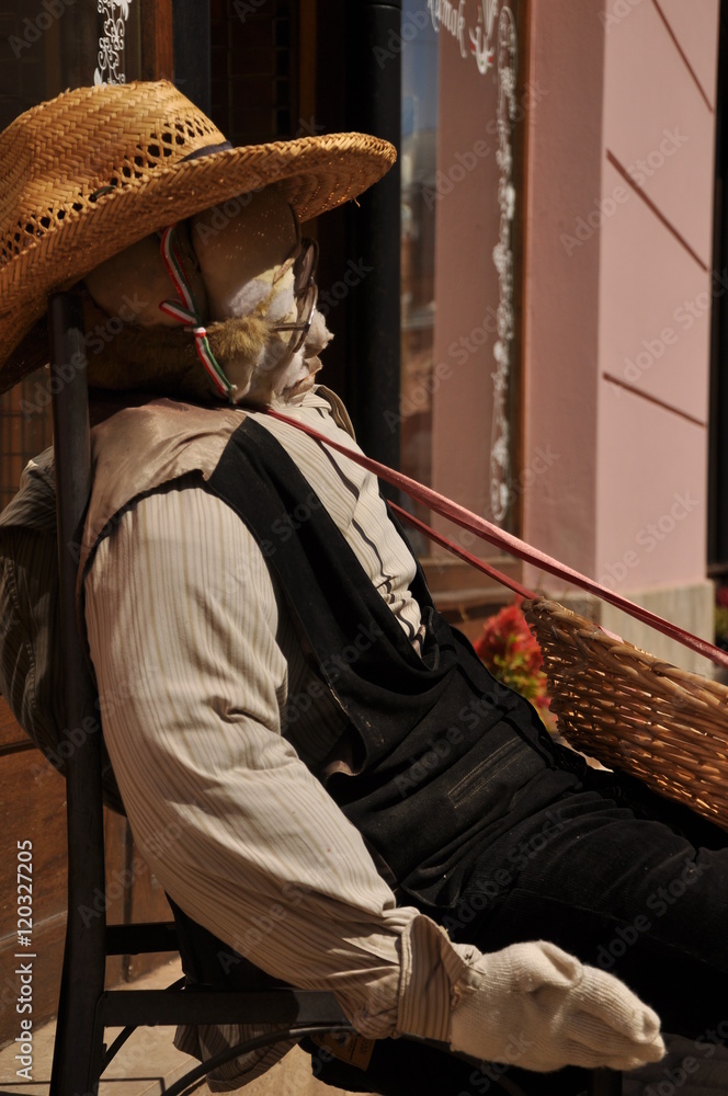 Fototapeta premium straw man 