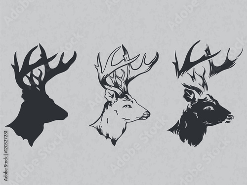 Vintage logotype wild nature