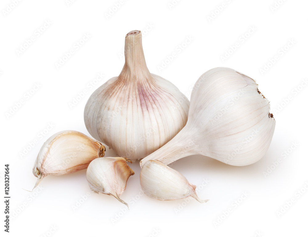 Garlics isolated on white background with clipping path