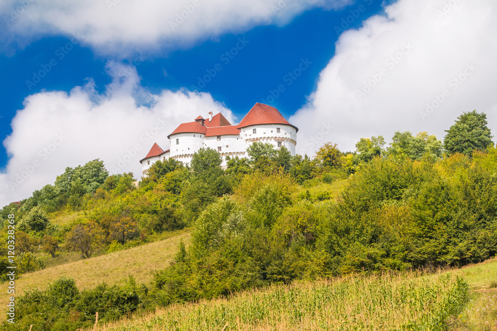      Countryside landscape with vineyard and old castle Veliki Tabor on hill, Zagorje, Croatia 