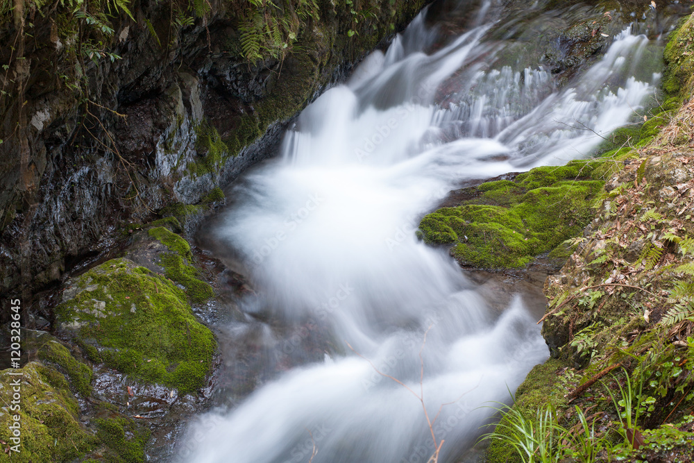 Fototapeta premium 雙津峡