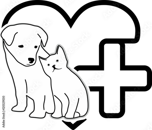 HundKatz 01 100916